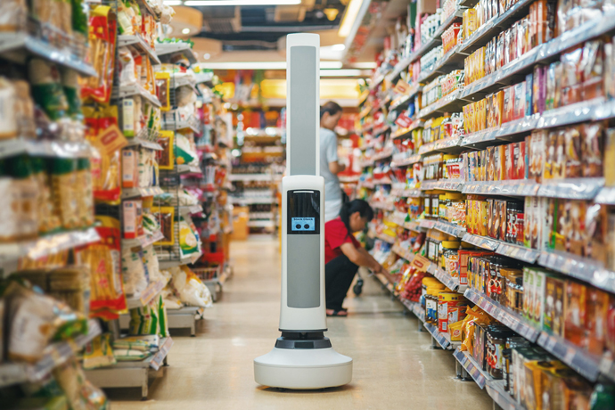 AI-Driven Analytics: Taming The Wild World Of Grocery Data