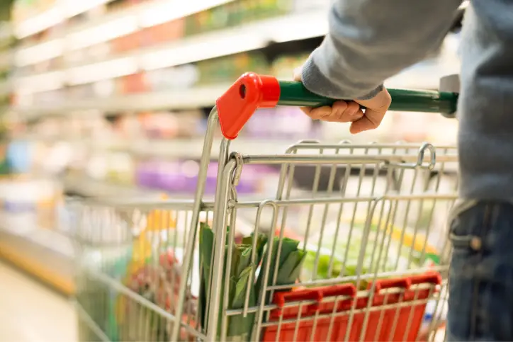 Grocery shopper pushing shopping cart filled with produce