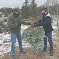 two Daisy employees cutting down a Christmas tree